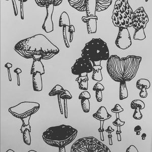 Meet your Posher, Gertrude